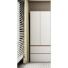 ARMOIRE BOIS 2P/ 2TIOIRS 800 × 2000 × 500 232 ARM-232