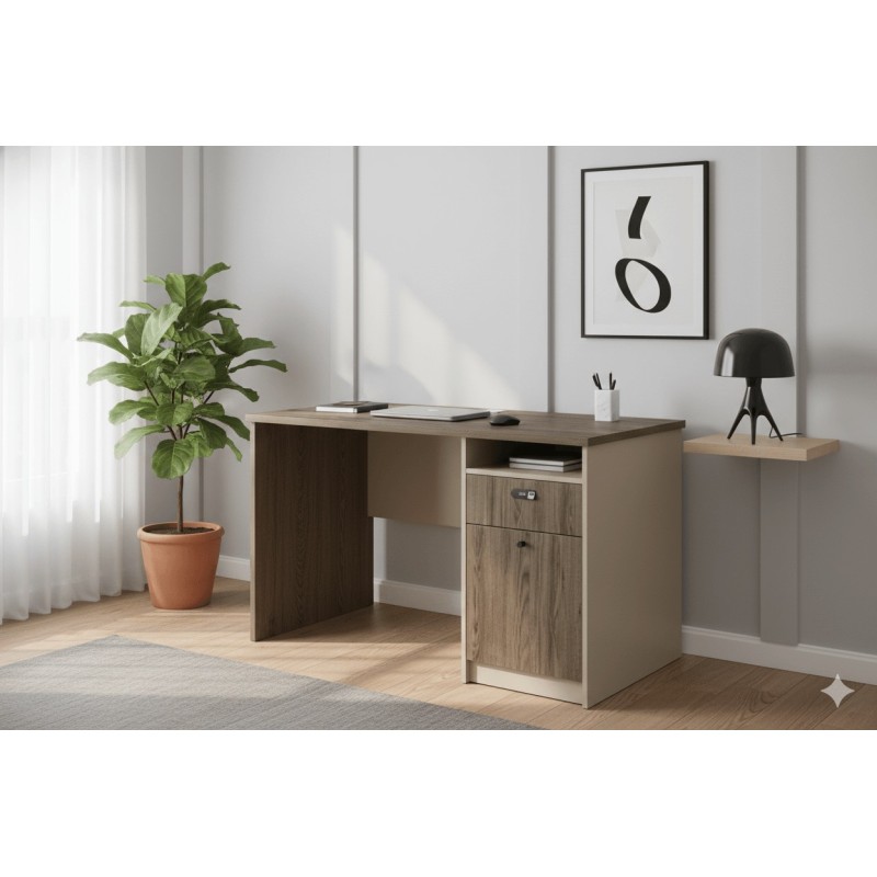 BUREAU 1205 1200 × 600 × 750 BUREAU-1205