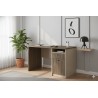 BUREAU 1205 1200 × 600 × 750 BUREAU-1205