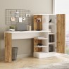 BUREAU CT2-AW BUREAU-CT2