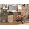 BUREAU POLET 11012325 BUREAU-POLET