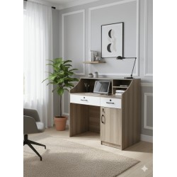 BUREAU Q110 1000 × 500 × 750 BUREAU-Q110