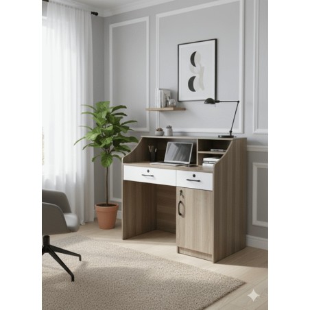 BUREAU Q110 1000 × 500 × 750 BUREAU-Q110