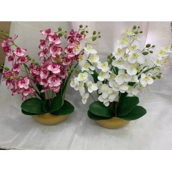 FLEUR B199 FLEUR-B199