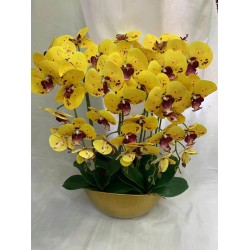 FLEUR B200 FLEUR-B200