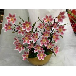 FLEUR B201 FLEUR-B201