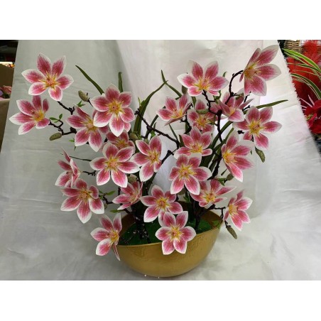 FLEUR B201 FLEUR-B201