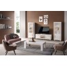 LIVING GOLD 1+1+TV GOLD LIVING-1+1+TV