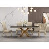 TABLE A MANGER BEIGE DORE 2000 × 100 × 750 92638 AVEC 8CHAISES 12079 TABLE-92638-12019