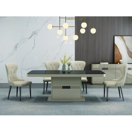 TABLE A MANGER BEIGE DORE 92496 2000 × 100 × 750 AVEC 8CHAISES 11862 TABLE-92496-11862