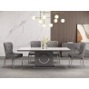 TABLE A MANGER GRIS DORE 92757DT 2000 × 100 × 750 AVEC 8CHAISES 12217 TABLE-92757-12217