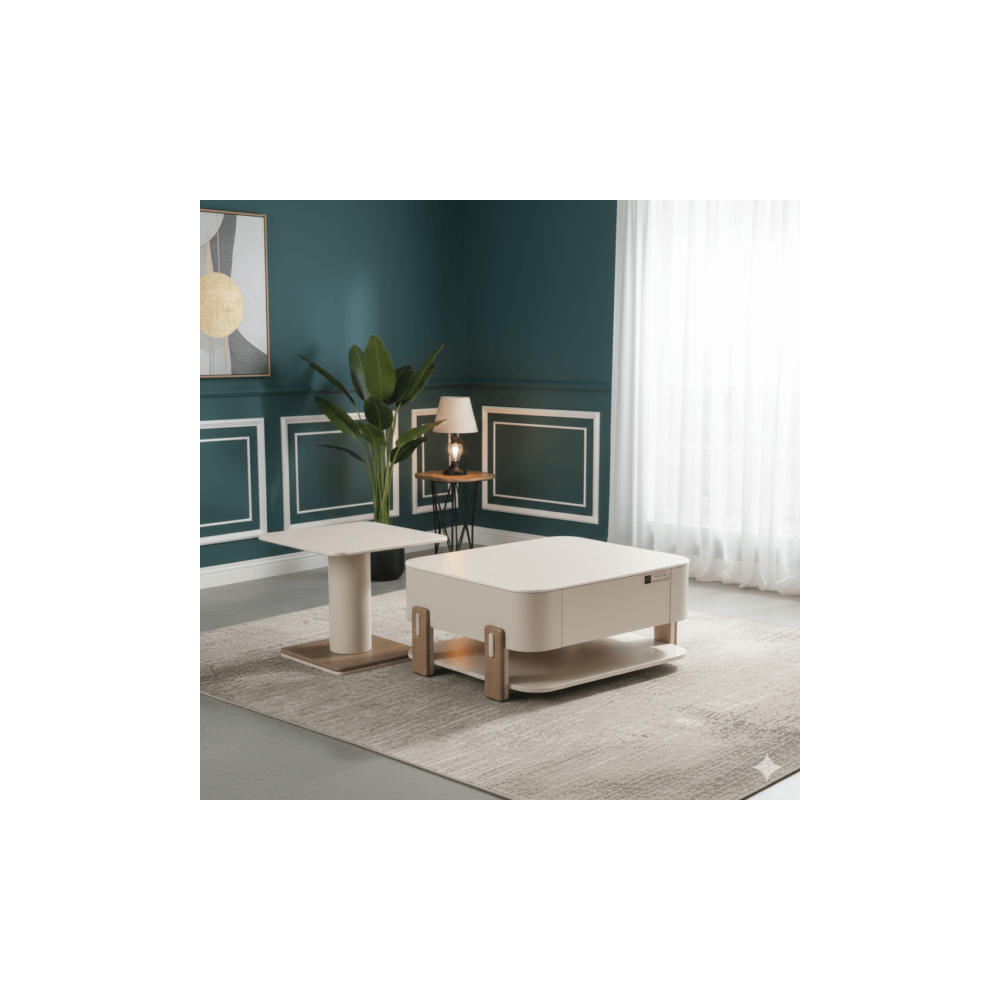 TABLE BASSE 800 X 700 X 390 520 X 520 X 460 B70