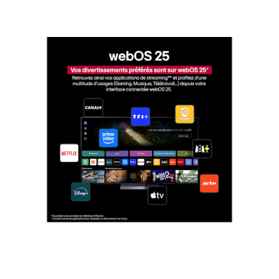 Téléviseur 43 pouces LG - TV 108CM LED - FHD STV