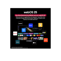 Téléviseur 43 pouces LG - TV 108CM LED - FHD STV