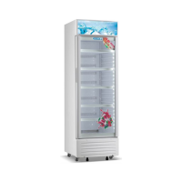 VITRINE BOISSONS BELFORD 400 L NO FROST BFSC420