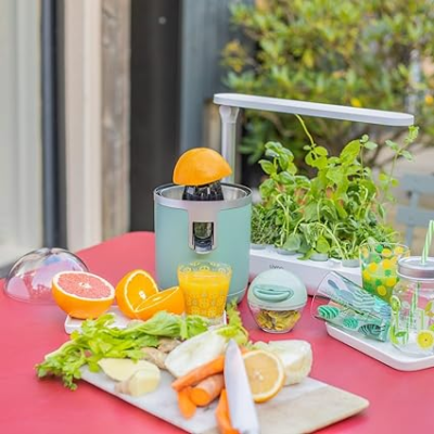 Presse Agrumes 400ml Vert - Presse-agrumes LIVOO